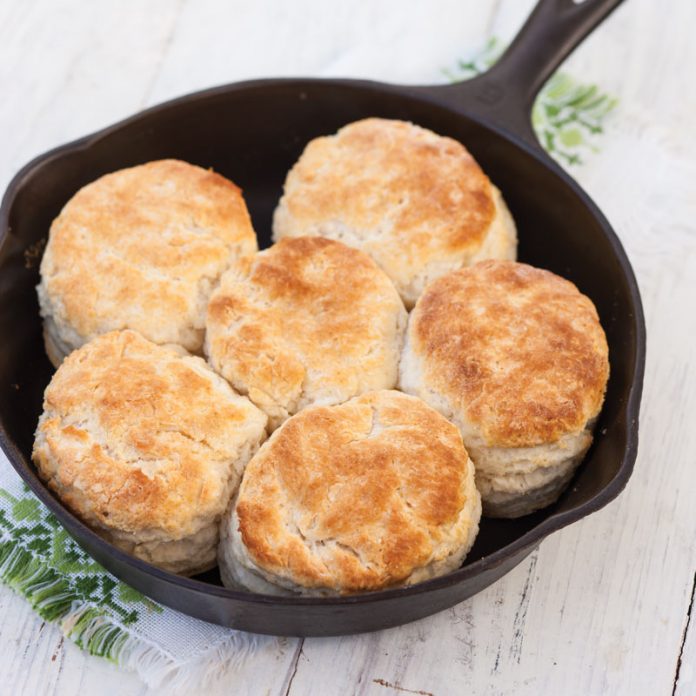 Calling All Readers Submission: Biscuits!