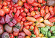 Peek Inside Our Spring Cupboard Peek Inside Our Spring Cupboard