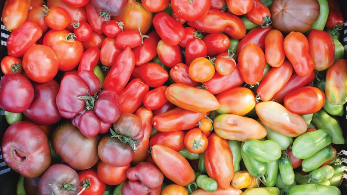 Peek Inside Our Spring Cupboard