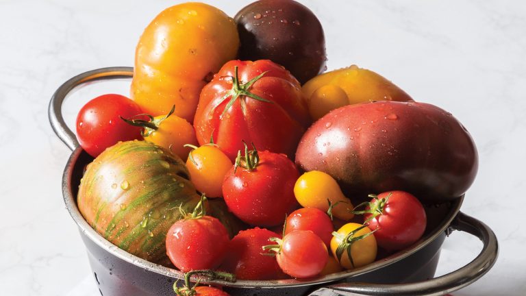 Tomato, Tomahto