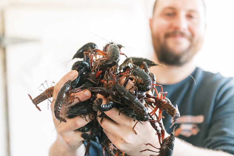 What’s the Difference Between Cajun and Creole Cuisine?