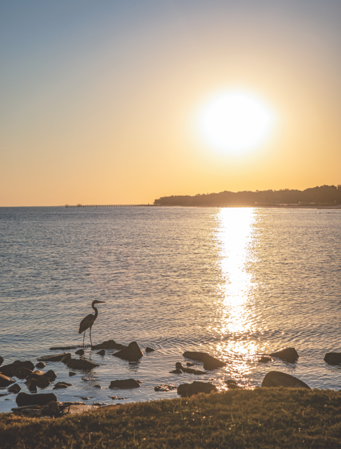Mississippi Gulf Coast