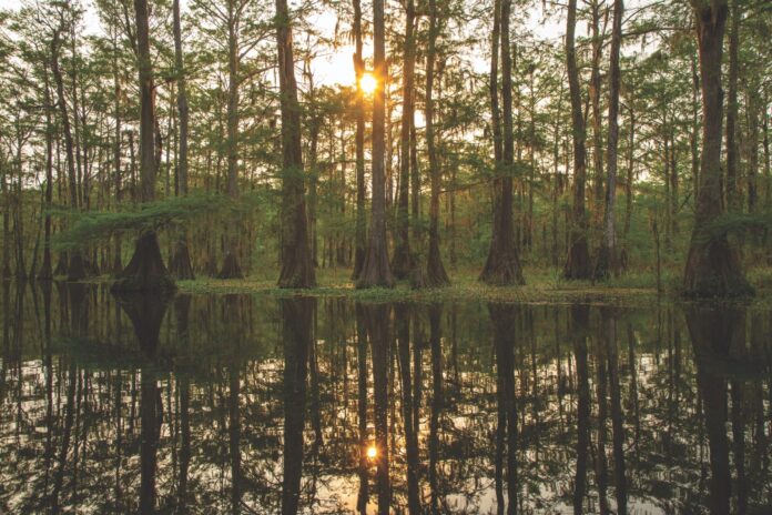 LakeMartin__178JOH-copy-1536x1024-1 Cajun Coast Waterways