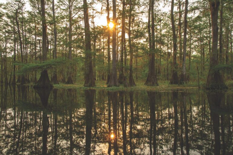 Cajun Coast Waterways